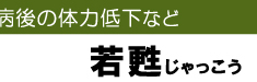 病後の体力低下に若甦