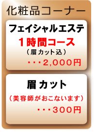 yiϕiR[i[̓tFCVGXePԁQOOOAJbgROO